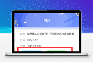 总裁主题码支付插件(非易支付插件)