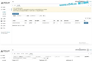 ARYA云支付1.1Java版_支付宝个码转卡转账免签聚合支付