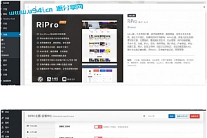 RiPro6.3.8日主题修复版WordPress资源下载站主题模板去后门和加密